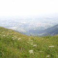 Malghe2005_014.jpg